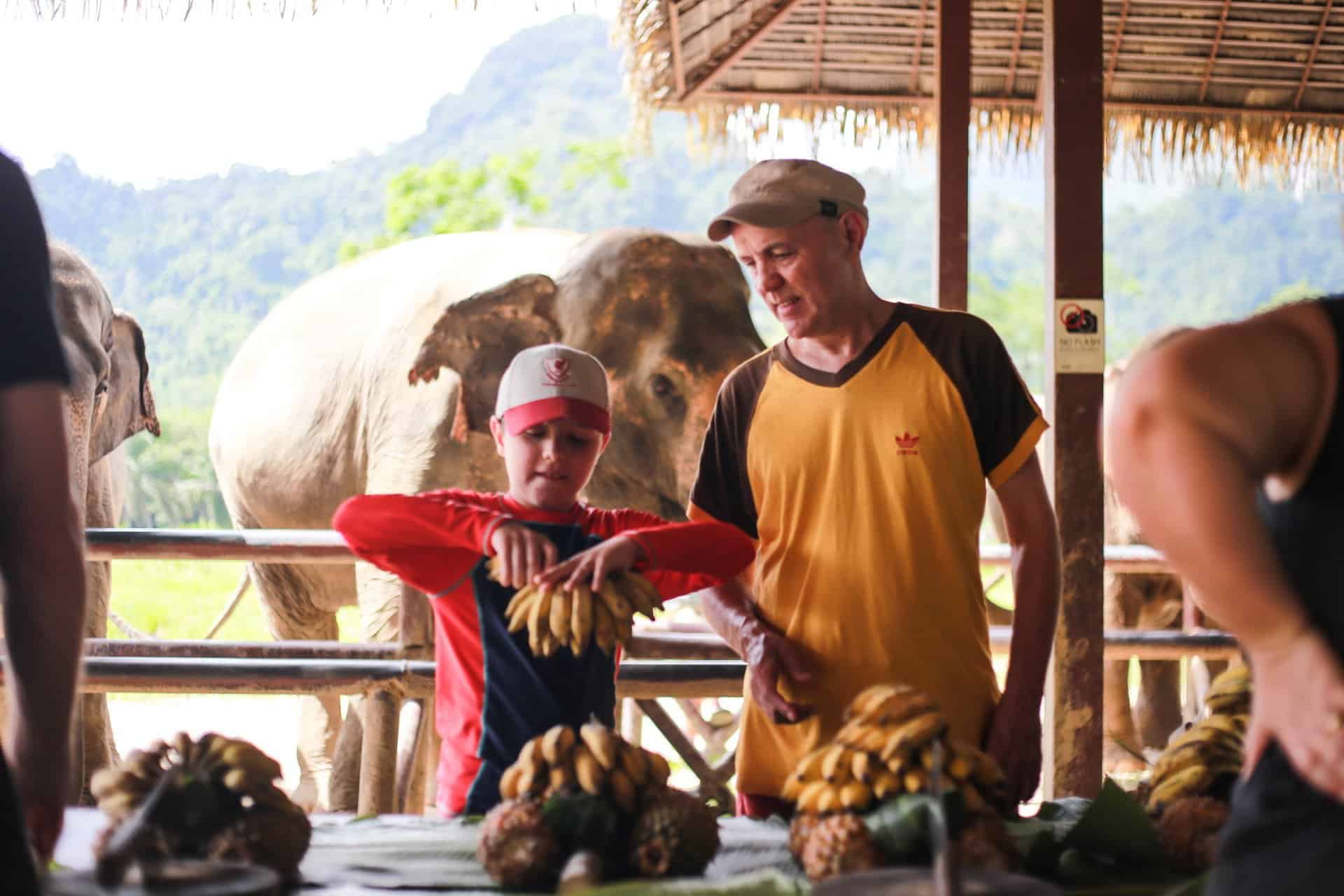 prepare food for the elephants before hand-feeding them