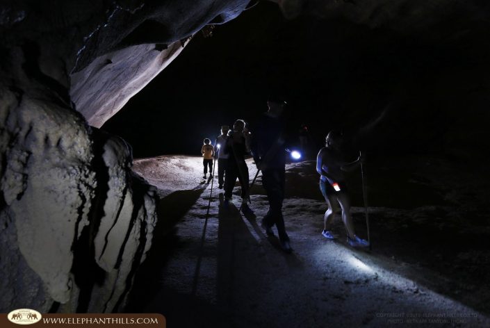 Cave group walking Rainforest KhaoSokNationalPark ElephantHills