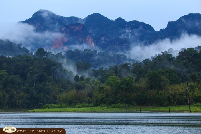 Lake morning cloud jungle nature Rainforest Jungle KhaoSokNationalPark ElephantHills