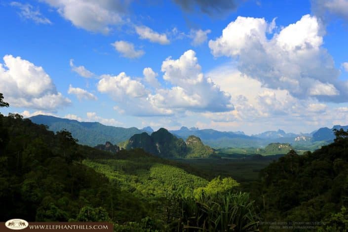 Montain cloud sky jungle view Rainforest Jungle KhaoSokNationalPark ElephantHills