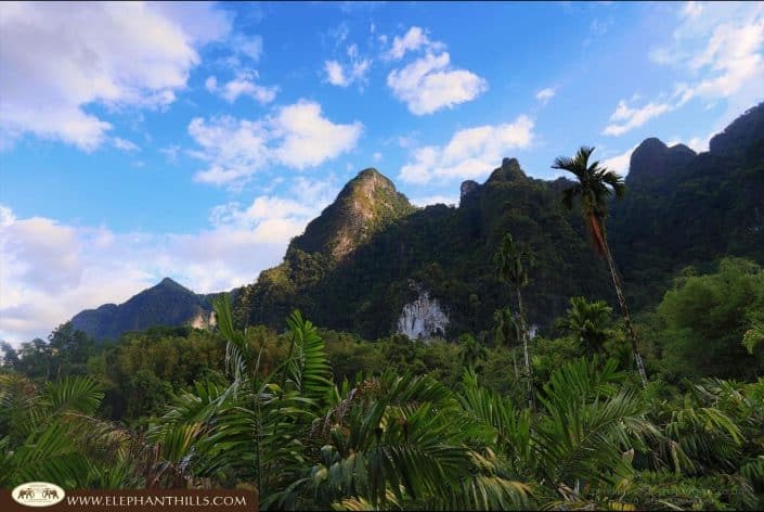 Montain jangle nature Rainforest Jungle KhaoSokNationalPark ElephantHills