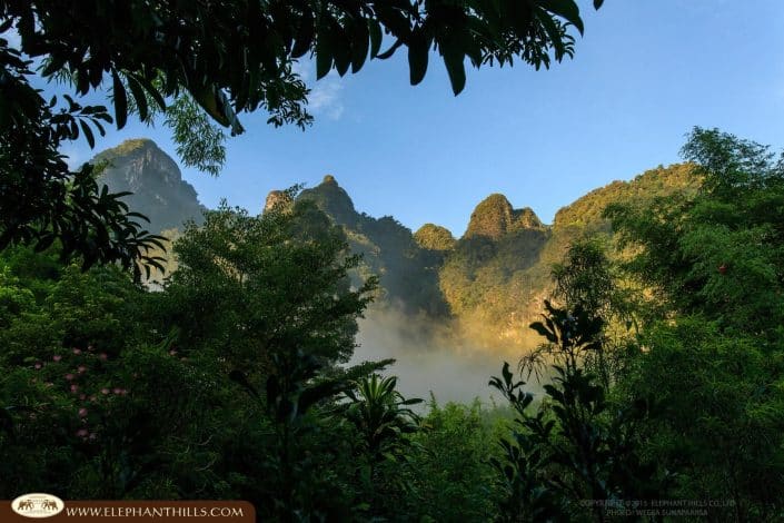 Nature green jungle cloud Rainforest Jungle KhaoSokNationalPark ElephantHills