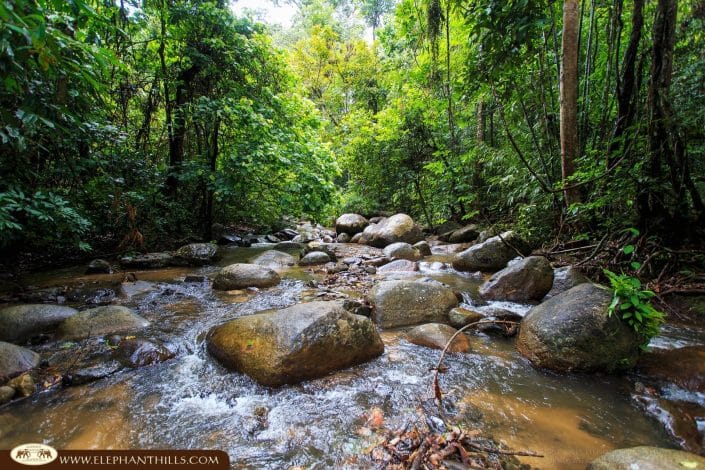 River rock waterfall Rainforest Jungle KhaoSokNationalPark ElephantHills
