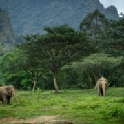 Eco-Tourism Eco-Tourism