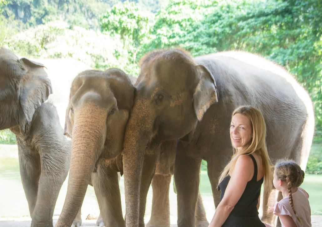 Emerald Waters: Discovering Khao Sok's Hidden Dry Season 2 Dry Season in Khao Sok