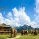 Discover the Magic of Elephant Hills