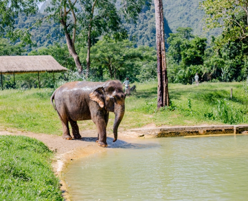 Exploring Elephant Hills Thailand: Ethical Luxury in the Jungle 4 IMG 3346