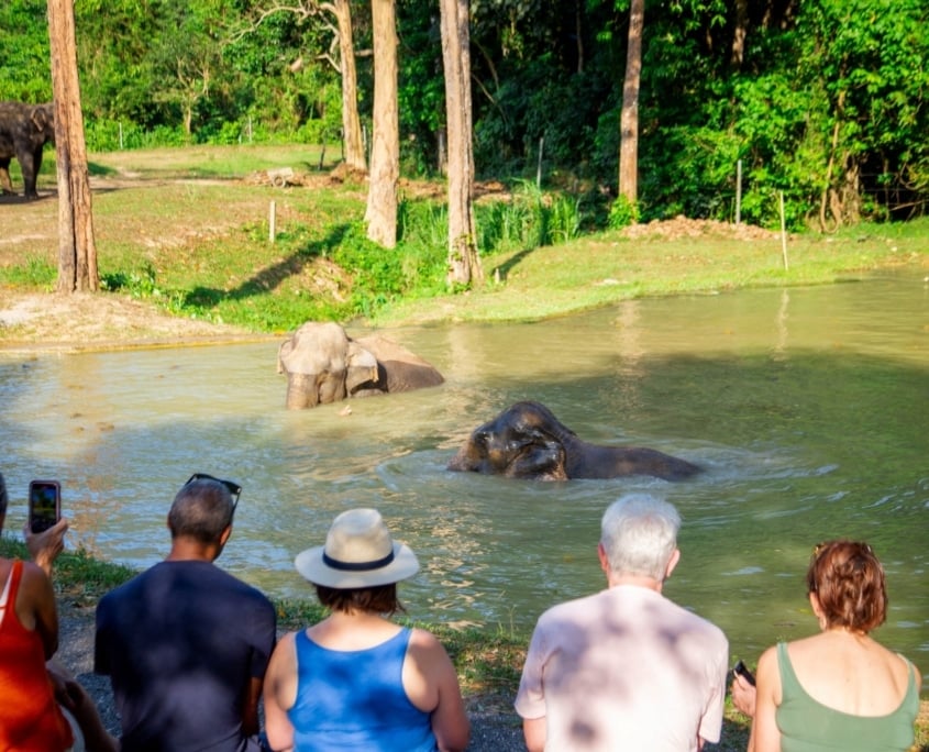 Exploring Elephant Hills Thailand: Ethical Luxury in the Jungle 10 MG 2023