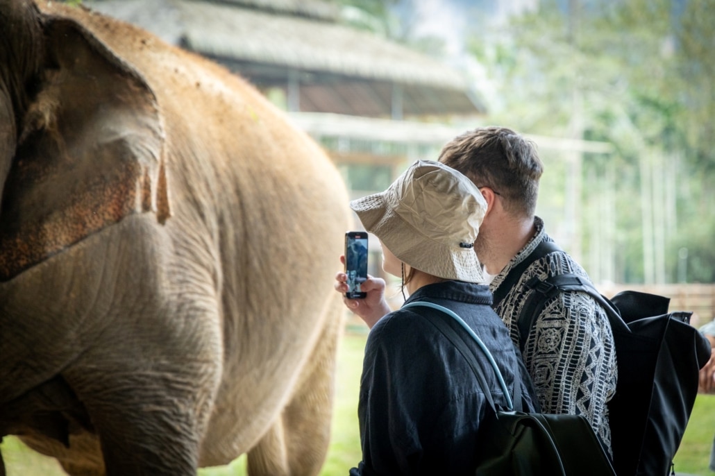 Discover the Magic of Elephant Hills: A Once-in-a-Lifetime Experience 8 Khaosok 404