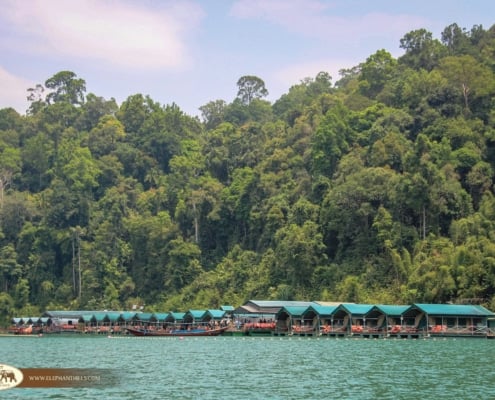 The True Jungle Book: Khao Sok's Floating Camp Reading Retreat 3 IMG 2855