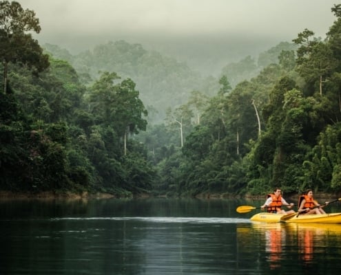 The Green Awakening: Nature's New Rhythm in Khao Sok 1 Couples Lake