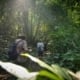 Khao Sok's Seasonal Secrets: Fewer Crowds, Greater Rewards 11 Khaosok 1039
