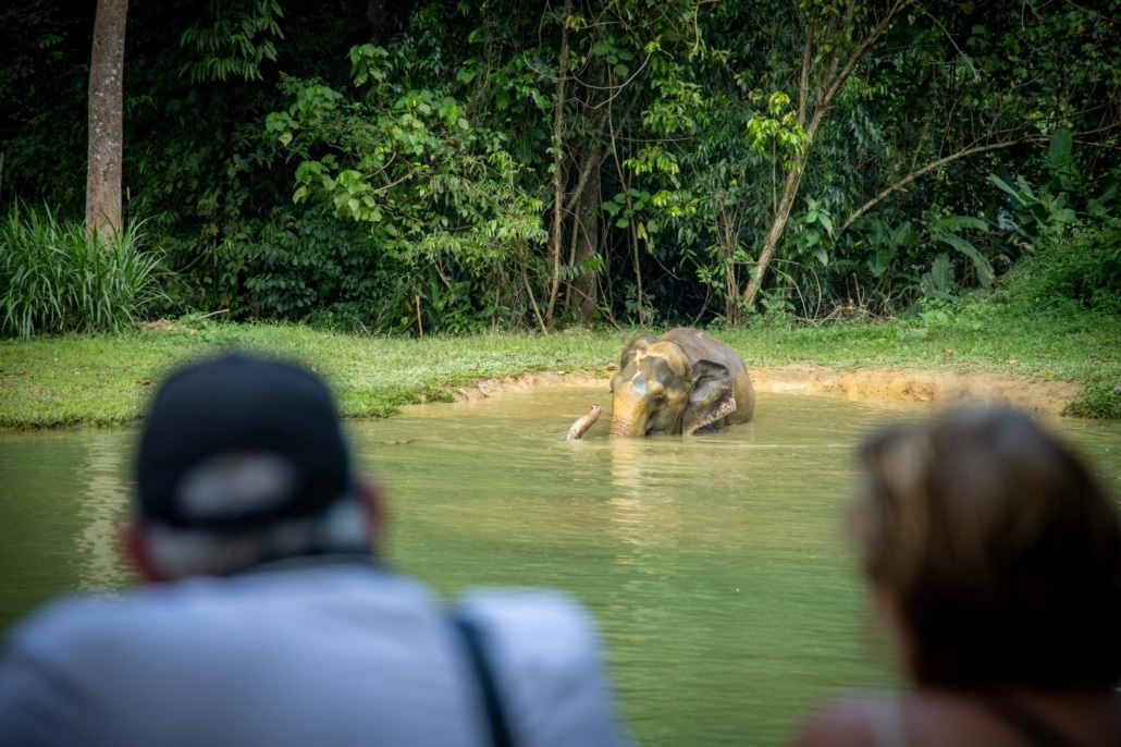 Emerald Waters: Discovering Khao Sok's Hidden Dry Season 6 Khaosok 498