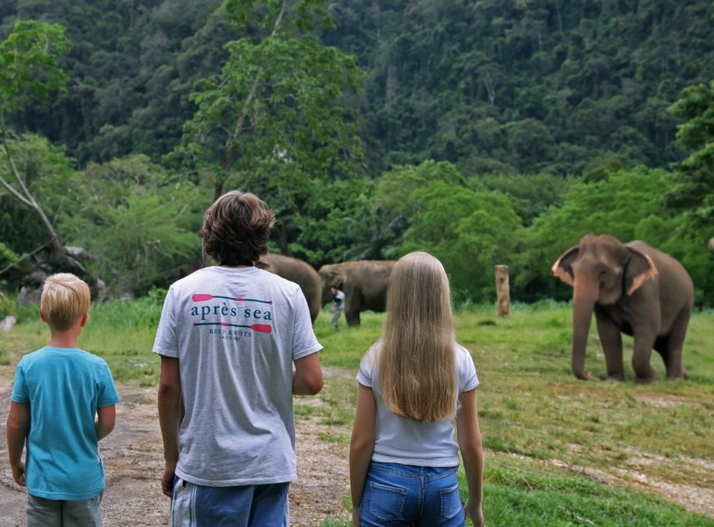 Discover the Magic of Elephant Hills: A Once-in-a-Lifetime Experience 12 Family-friendly Adventure