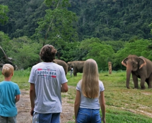 Family-friendly Adventure Family-friendly Adventure