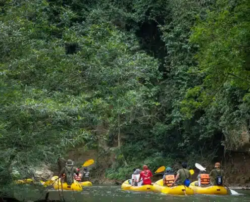 Jungle Safari - 3 Days 2 3 Day Jungle Safari JS3