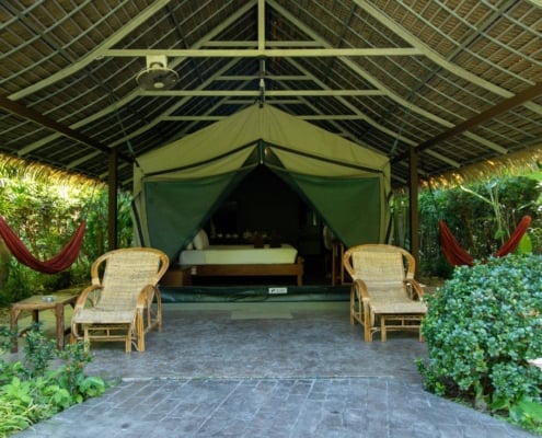 Main Camp