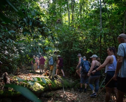 Trekking